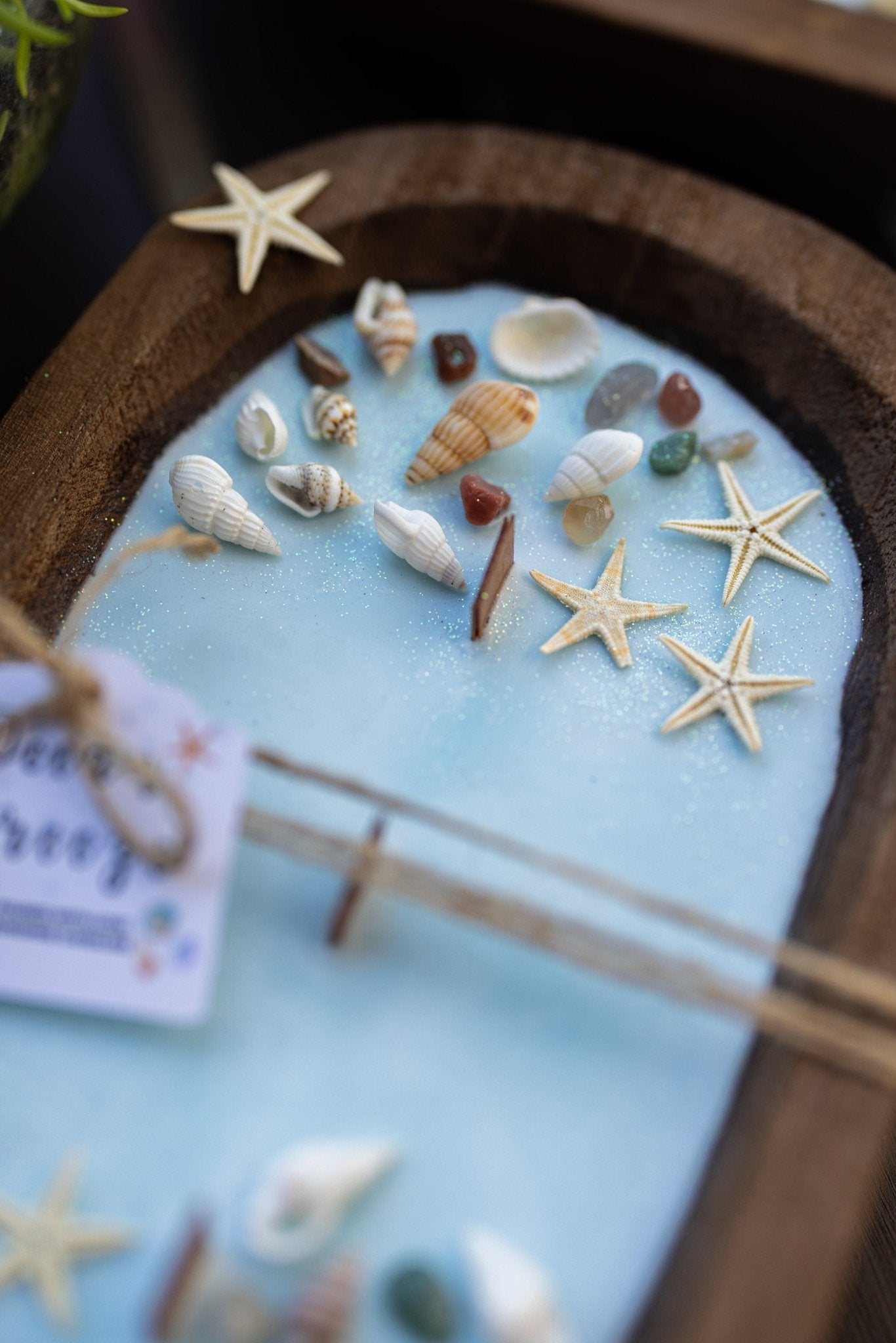 Coastal Seashell Dough Bowl Soy Candle